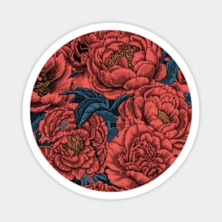 Peony flowers 2 Magnet